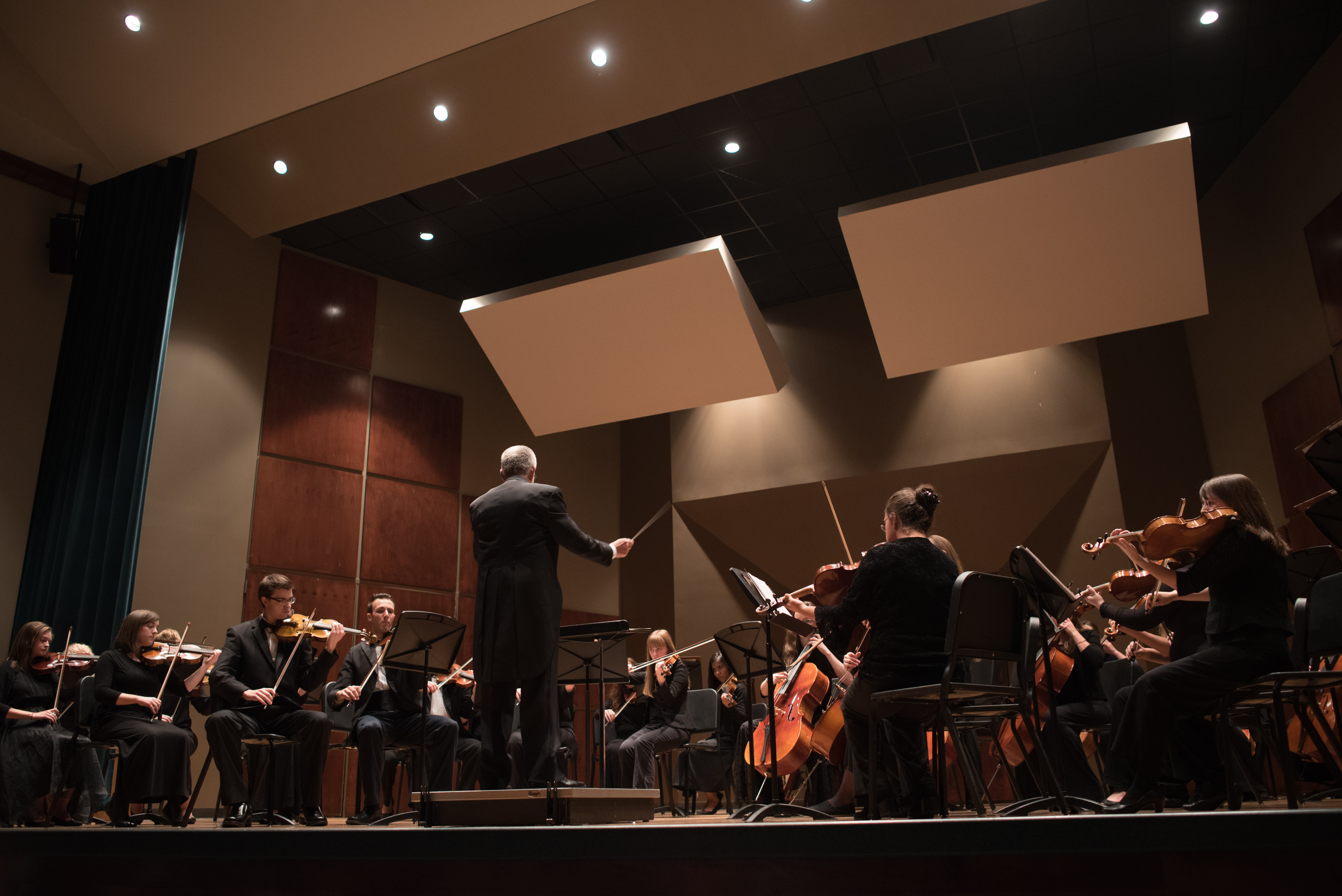 Orchestra on stage for concert