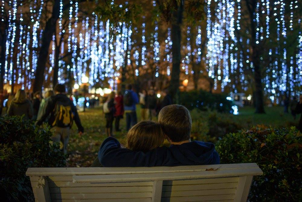 Students looking at lights in trees at night.